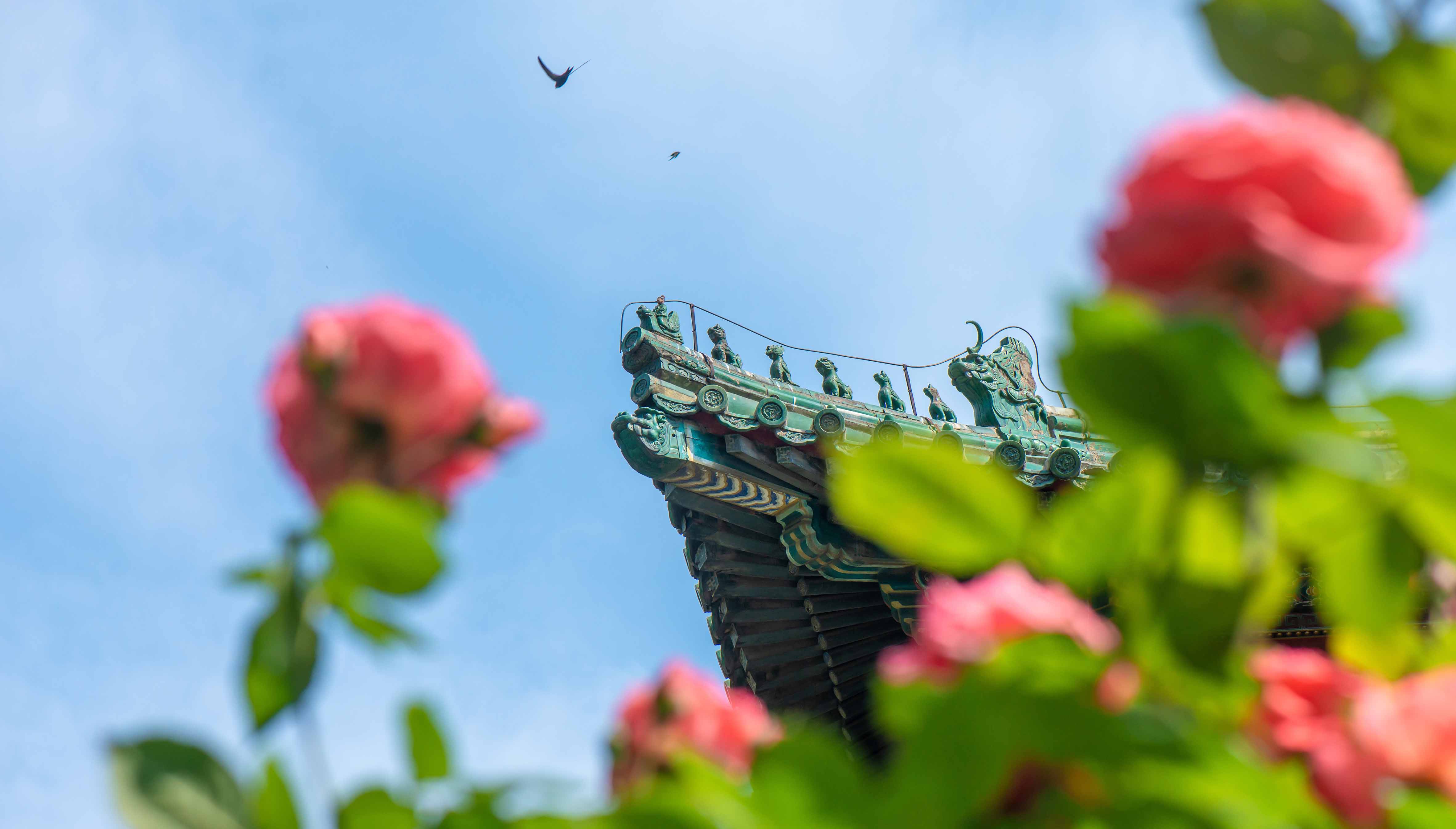 PUMCH Main Building — Dongcheng, Beijing